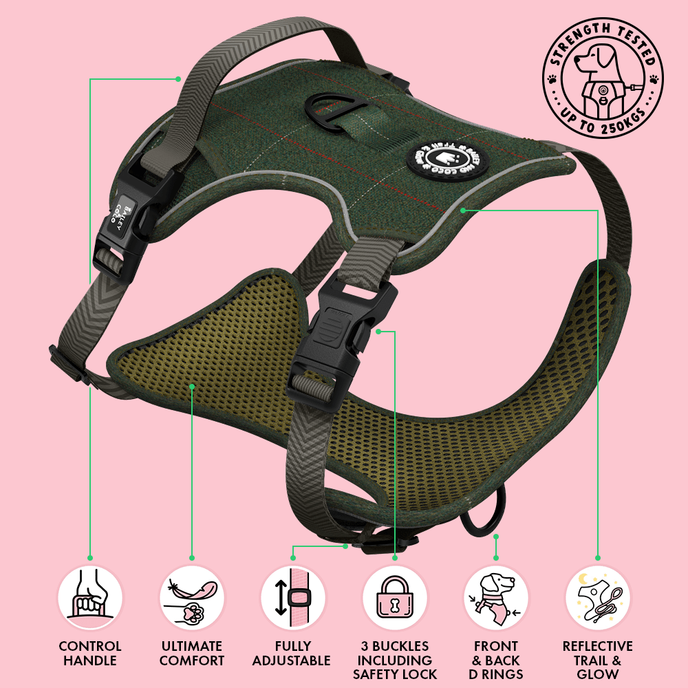 Best Puppy Harness by Bailey & Coco