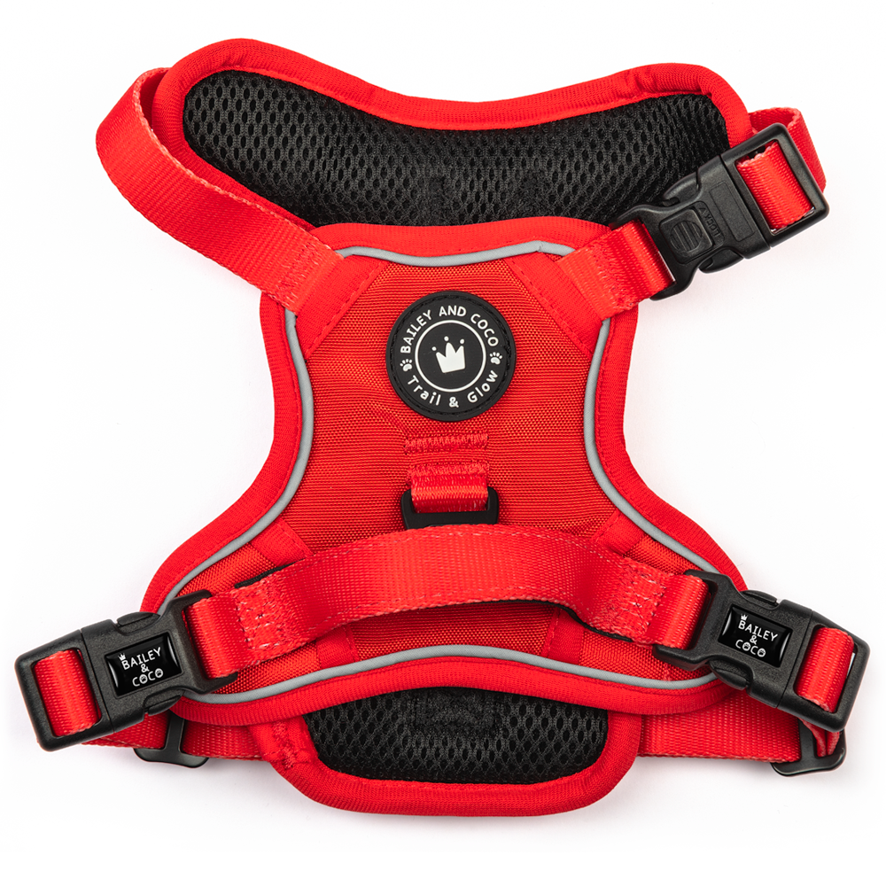 Trail & Glow® Dog Harness - The Red One