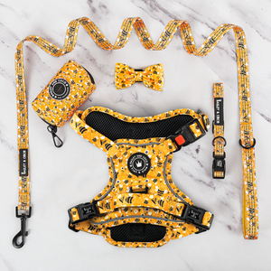 Trail & Glow® Harness Bundle Set - Wanna-Bee.