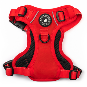 Trail & Glow® Dog Harness - The Red One