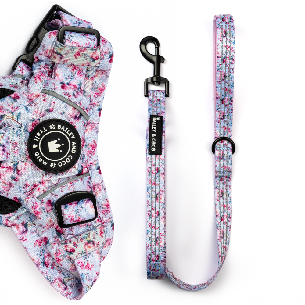 Trail & Glow® Fabric Dog Lead 5ft - Peony Blossom