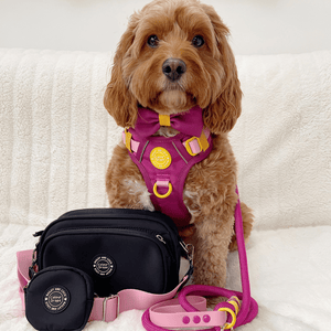 dog walking bag women