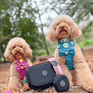 Dog Walking Bag - Black with Red Tartan Strap