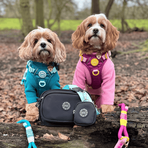 buy dog walking bag