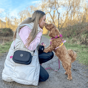 walking bag dog