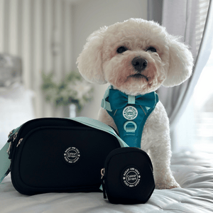 dog walking bag black