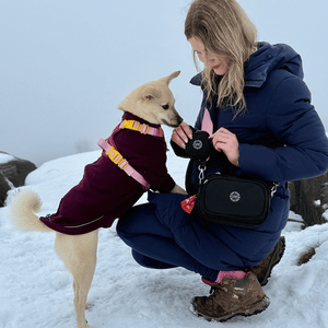 best bag for walking dog