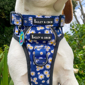 Trail & Glow® Harness Bundle Set - Loves Me, Loves Me Not Daisy.