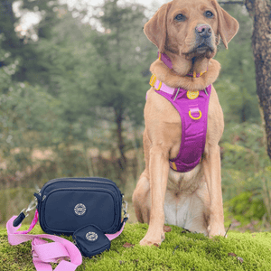 responsible owner dog walking bag