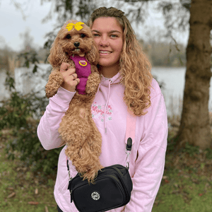 fashionable dog walking bag