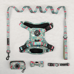 Trail & Glow® Harness Bundle Set - Dino Party