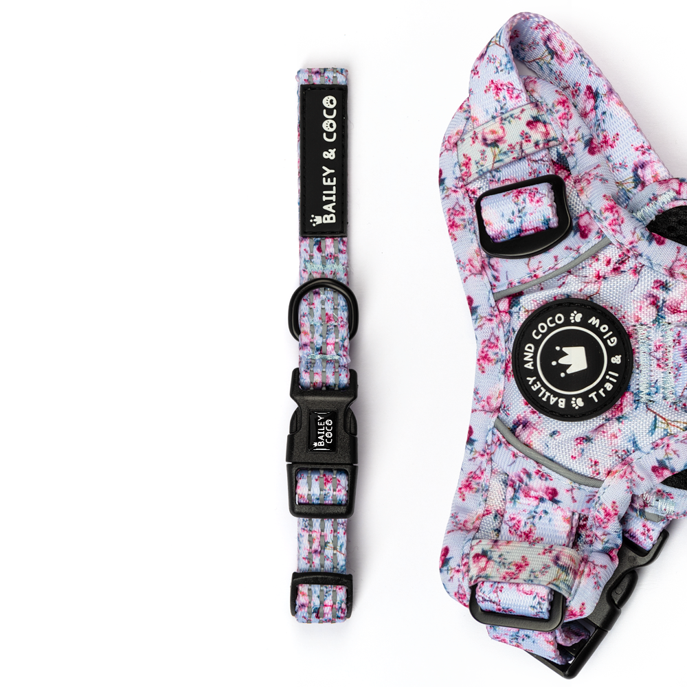 Trail & Glow® Collar: Peony Blossom