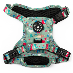 Trail & Glow® Dinosaur Dog Harness – Dino Party