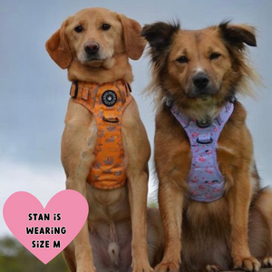 Trail & Glow® Dog Harness - Don't Hurry, Be Happy