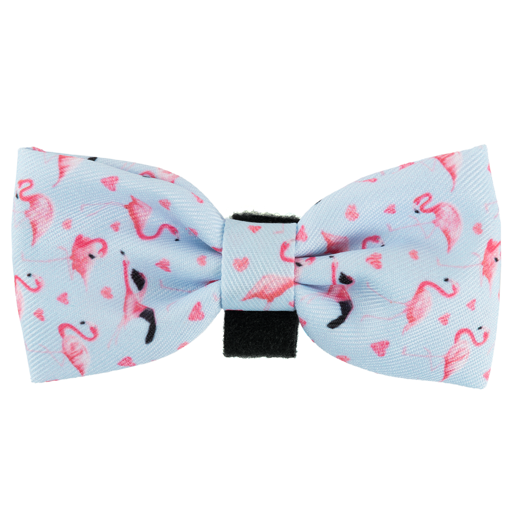 Bow Tie - Flamingo Fling