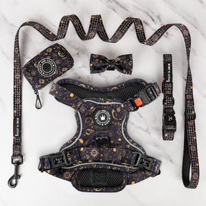 Trail & Glow® Harness Bundle Set - Celestial.