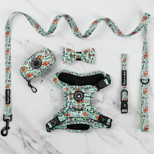 Trail & Glow® Harness Bundle Set - Dog Party