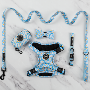 Trail & Glow® Harness Bundle Set - Loves me more