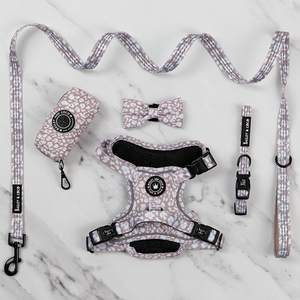 Trail & Glow® Harness Bundle Set - Mocha Leopard