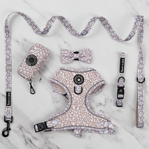 Set di pacchetti Glow Harness® - Wanna-Bee