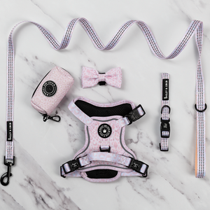 Trail & Glow® Harness Bundle Set - Blush Leopard