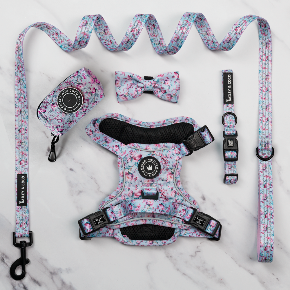 Trail & Glow® Dog Harness Bundle Set - Peony Blossom