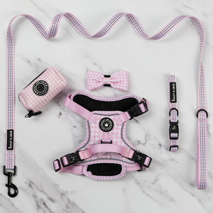 Trail & Glow® Dog Harness Bundle Set - Gingham Dreams