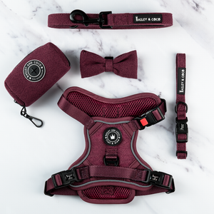 Trail & Glow® Dog Harness Bundle Set - Mulberry Tweed.