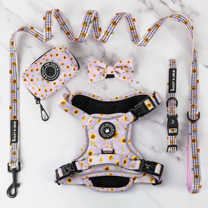 Trail & Glow® Harness Bundle Set - Walking on Sunshine