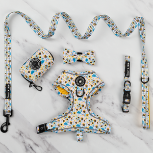 Glow Harness® Bundle Set - Wanna-Bee II