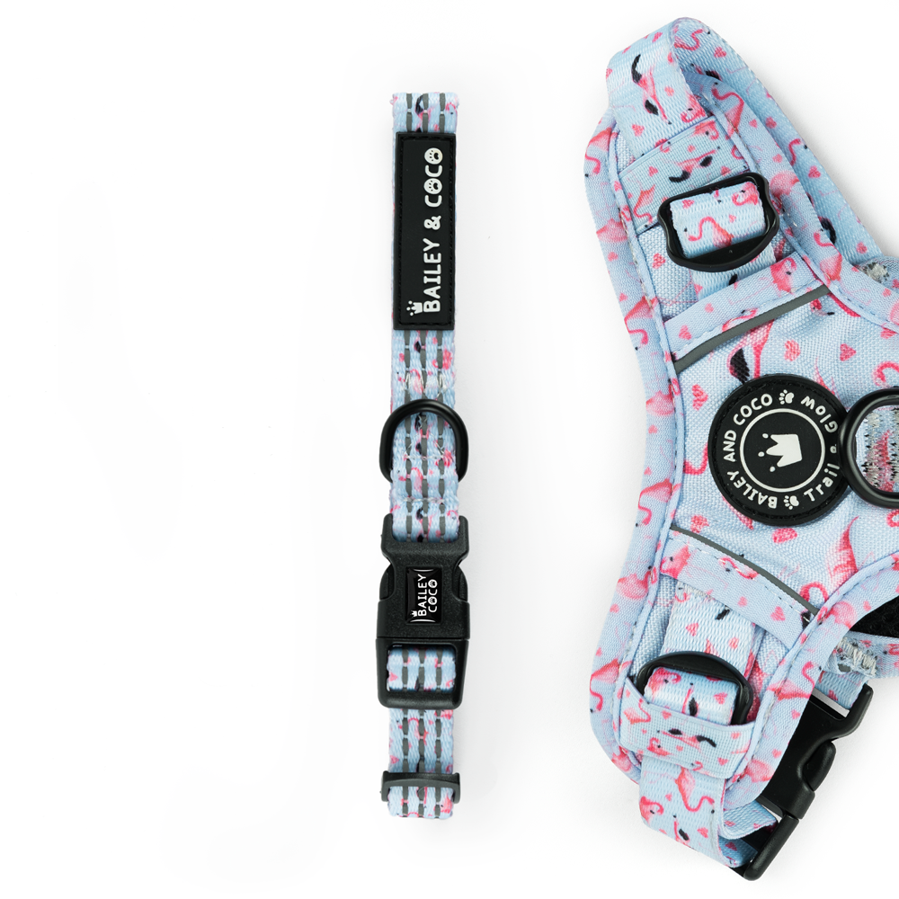 Trail & Glow® Collar - Flamingo Fling