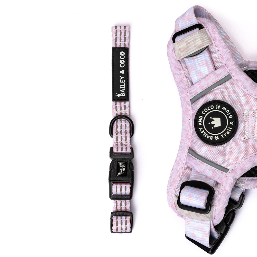 Trail & Glow® Collar - Blush Leopard