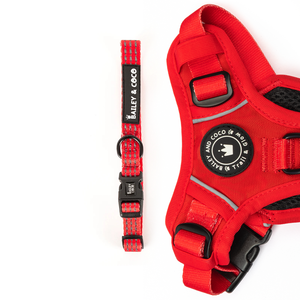 Trail & Glow® Collar - The Red One