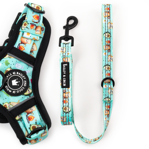 Trail & Glow® Fabric Dog Lead 5ft - All I Avo Wanted.