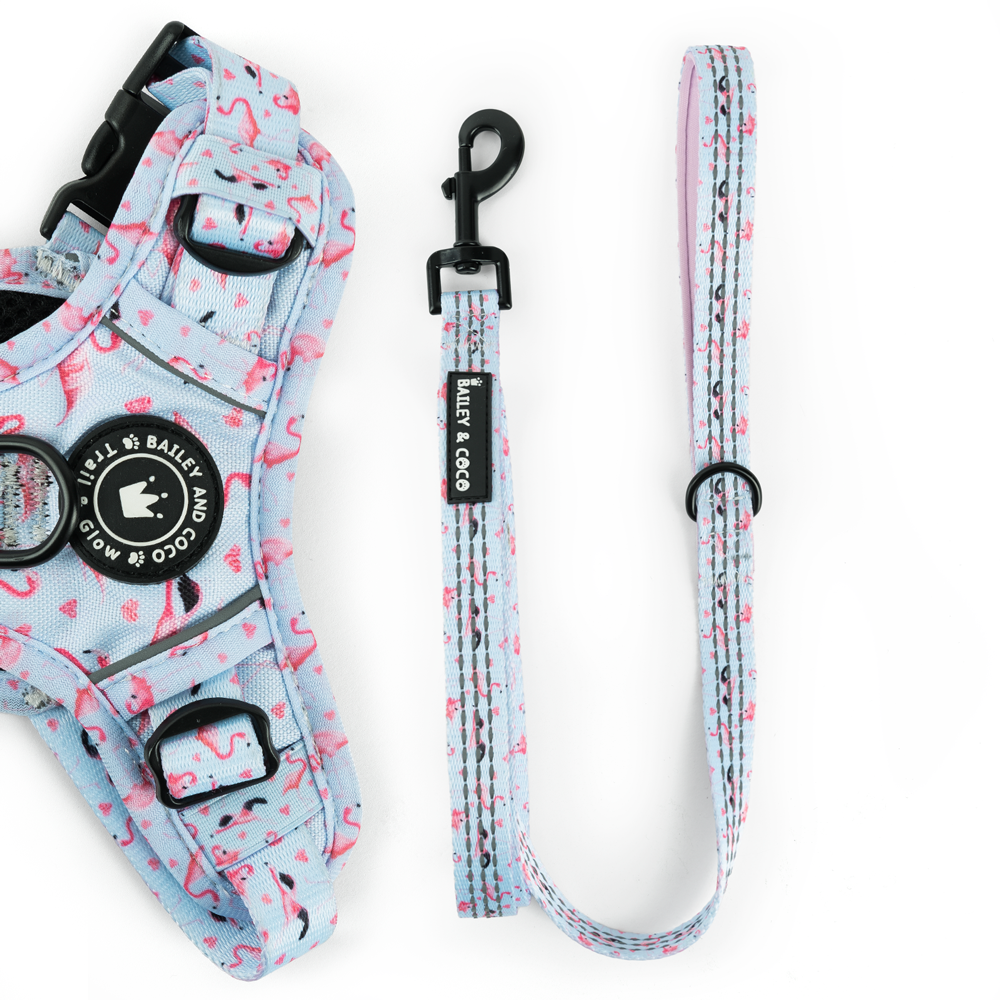 Trail & Glow® Fabric Dog Lead 5ft - Flamingo Fling