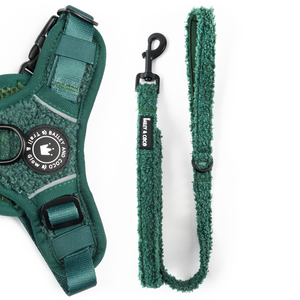 Teddy Dog Lead 5ft - Emerald Teddy.