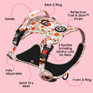 Trail & Glow® Dog Harness - Autumn Magic.