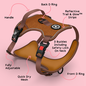 Trail & Glow® Dog Harness - Teddy Bear