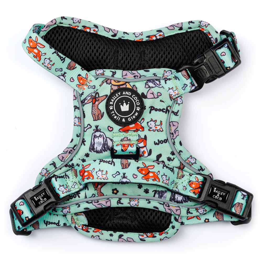 Pettorina per cani Trail & Glow® - Wanna-Bee