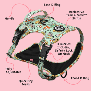 Trail & Glow® Harness Bundle Set - Dog Party