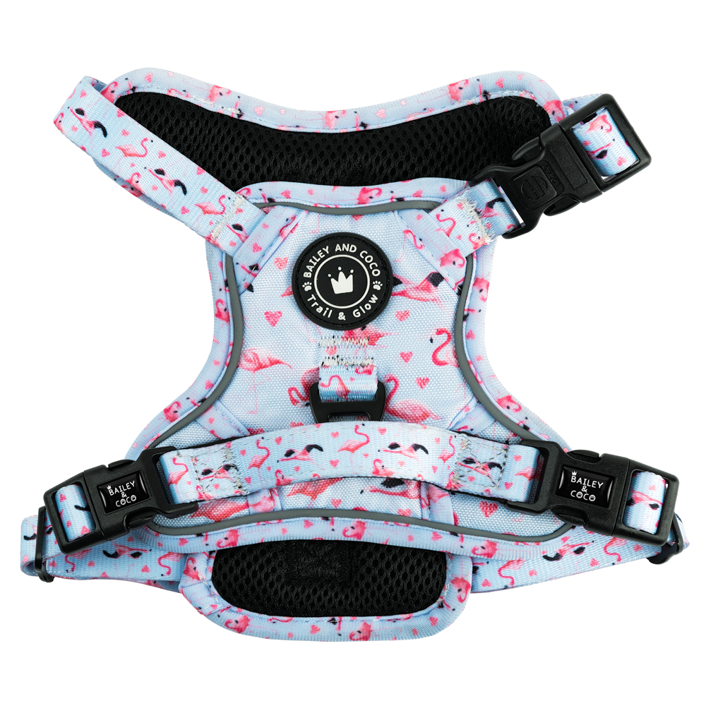 Trail & Glow® Dog Harness - Flamingo Fling