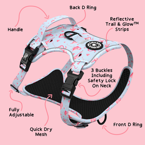 Trail & Glow® Dog Harness - Flamingo Fling