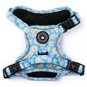 Trail & Glow® Harness – Loves me more