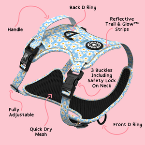 Trail & Glow® Harness – Loves me more