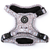 Trail & Glow® Dog Harness - Mocha Leopard