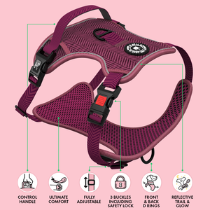 Trail & Glow® Dog Harness - Mulberry Tweed