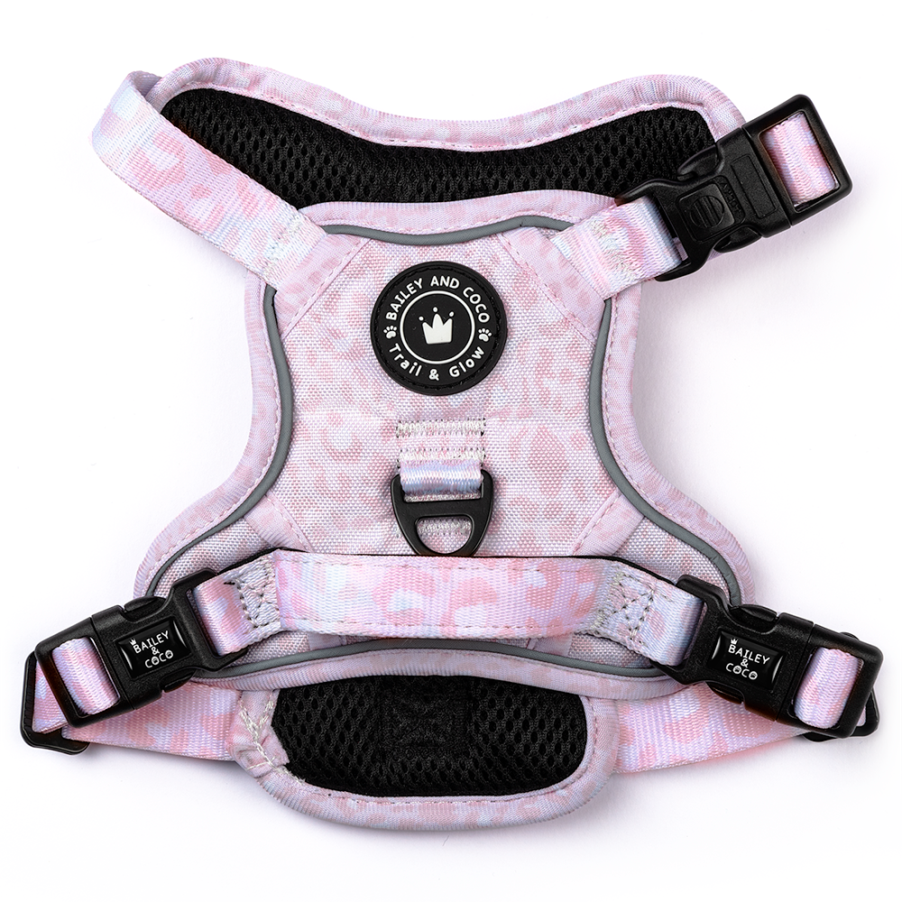 Trail & Glow® Dog Harness - Blush Leopard