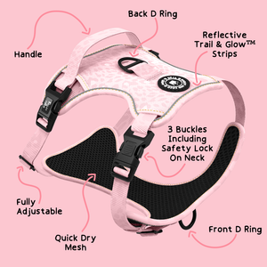 Trail & Glow® Harness Bundle Set - Blush Leopard