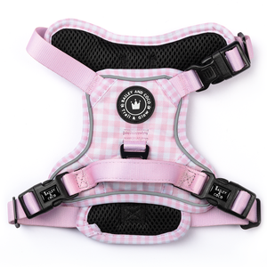 Trail & Glow® Dog Harness - Gingham Dreams