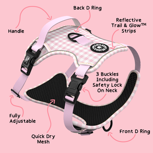 Trail & Glow® Dog Harness - Gingham Dreams